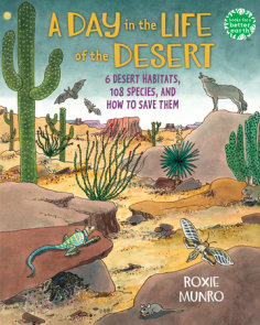 A Day in the Life of the Desert