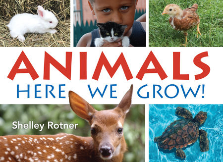 Animals! by Shelley Rotner