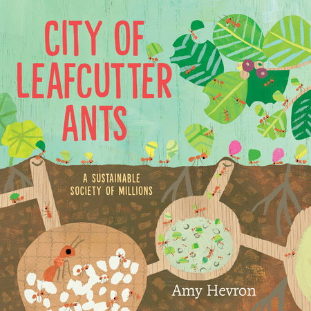 City of Leafcutter Ants by Amy Hevron