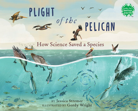 Plight of the Pelican by Jessica Stremer