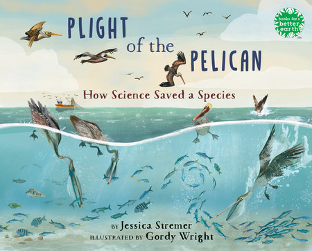 Plight of the Pelican by Jessica Stremer