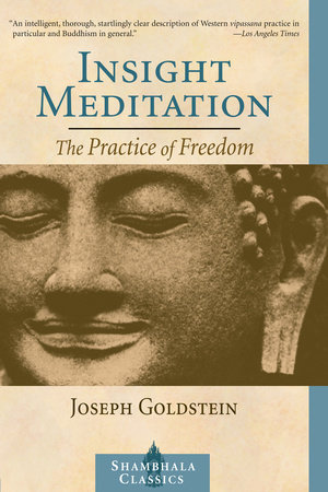 Insight Meditation by Joseph Goldstein