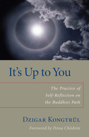 It's Up to You by Dzigar Kongtrul and Helen Berliner