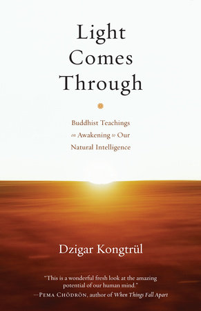 Light Comes Through by Dzigar Kongtrul