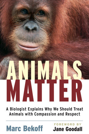 Animals Matter by Marc Bekoff