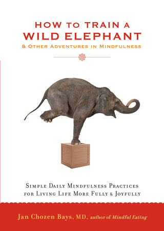 How to Train a Wild Elephant by Jan Chozen Bays