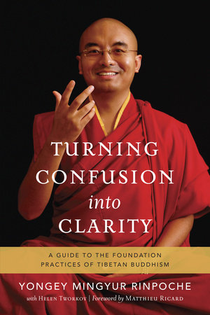 Turning Confusion into Clarity by Yongey Mingyur Rinpoche and Helen Tworkov