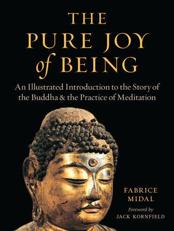 The Pure Joy of Being by Fabrice Midal