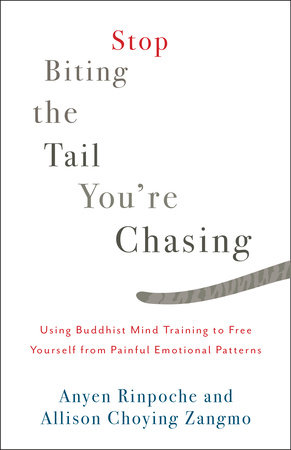 Stop Biting the Tail You're Chasing by Anyen Rinpoche and Allison Choying Zangmo