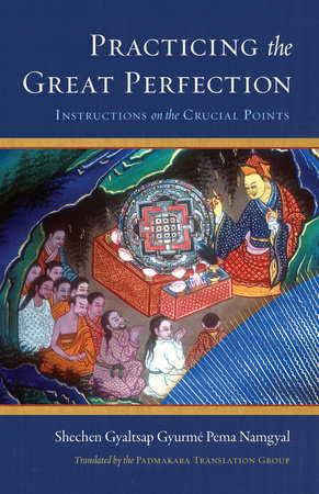 Practicing the Great Perfection by Shechen Gyaltsap Gyurme Pema Namgyal and Shechen Gyaltsap IV