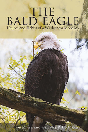 The Bald Eagle by Jon M. Gerrard and Gary R. Bortolotti