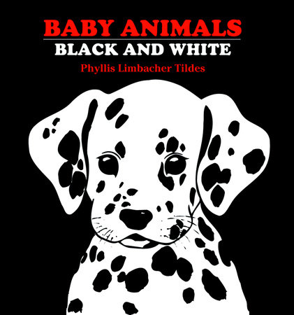 Baby Animals Black and White by Phyllis Limbacher Tildes