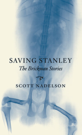 Saving Stanley by Scott Nadelson