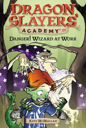 Danger! Wizard at Work! #11 by Kate McMullan