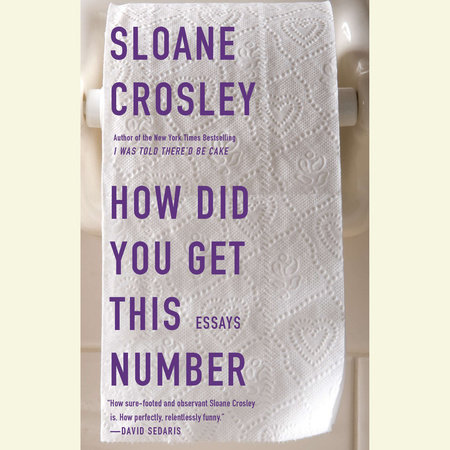 How Did You Get This Number by Sloane Crosley
