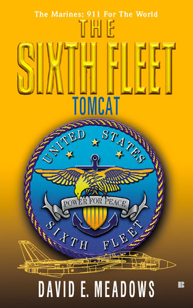 The Sixth Fleet: Tomcat by David E. Meadows