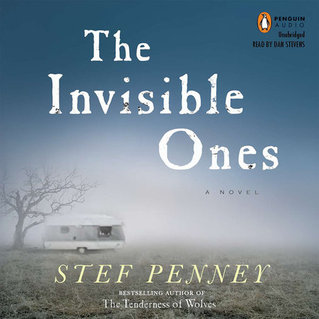 The Invisible Ones by Stef Penney