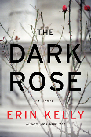 The Dark Rose by Erin Kelly