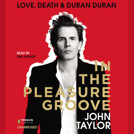In the Pleasure Groove by John Taylor