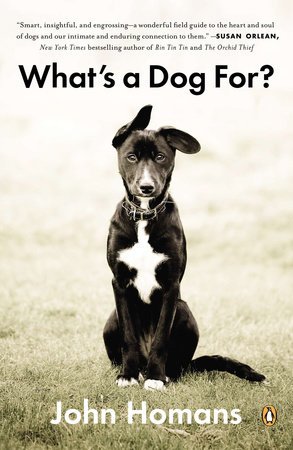 What's a Dog For? by John Homans