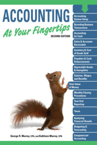 Accounting At Your Fingertips, 2e