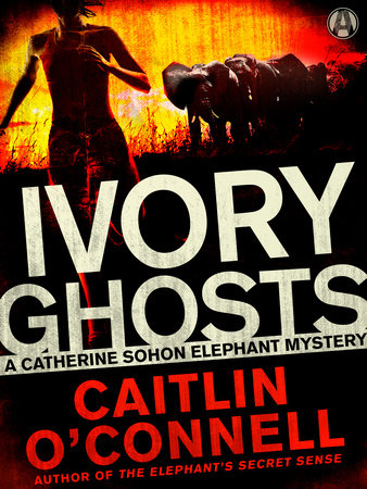 Ivory Ghosts by Caitlin O'Connell