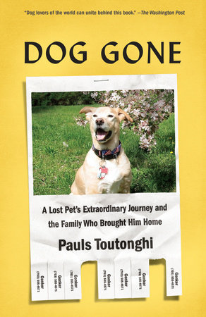 Dog Gone by Pauls Toutonghi