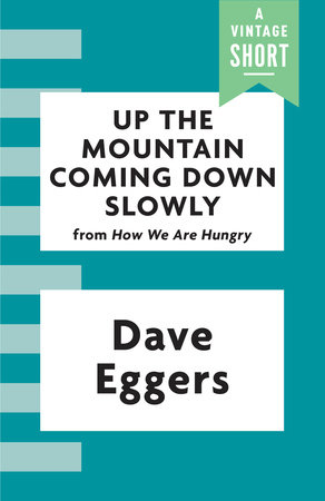 Up the Mountain Coming Down Slowly by Dave Eggers