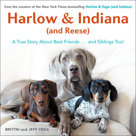 Harlow & Indiana (and Reese) by Brittni Vega