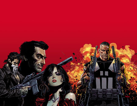 Marvel Knights: Punisher by Jimmy Palmiotti