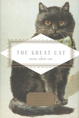 The Great Cat by 