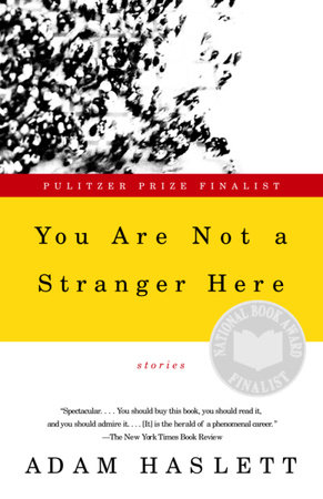 You Are Not a Stranger Here by Adam Haslett