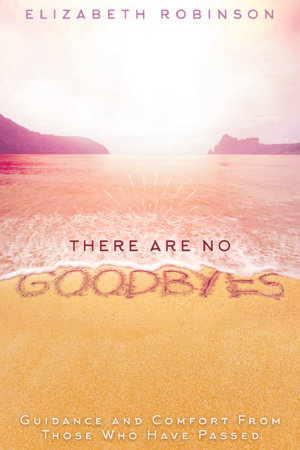 There Are No Goodbyes by Elizabeth Robinson