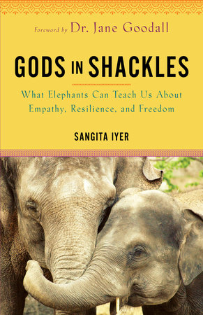 Gods in Shackles by Sangita Iyer