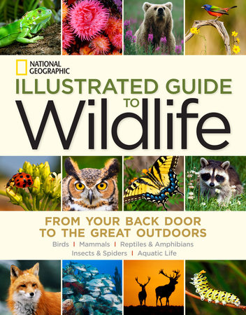 National Geographic Illustrated Guide to Wildlife by National Geographic