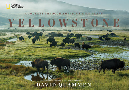 Yellowstone by David Quammen