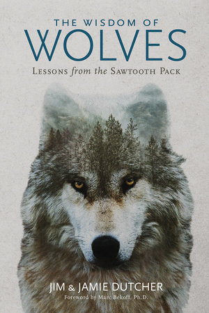 Wisdom of Wolves, The by Jim Dutcher