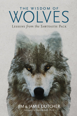 The Wisdom of Wolves by Jim Dutcher