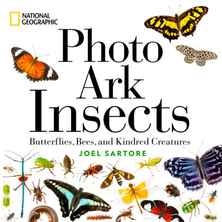 National Geographic Photo Ark Insects by Joel Sartore