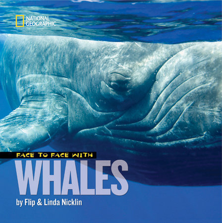 Face to Face with Whales by Linda Nicklin