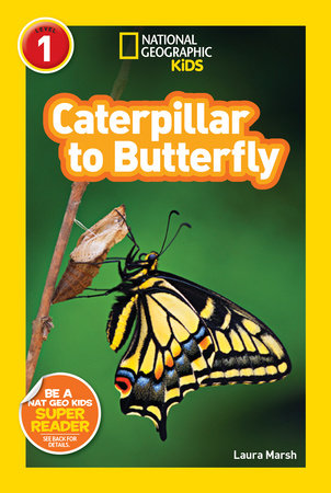 National Geographic Readers: Caterpillar to Butterfly by Laura Marsh