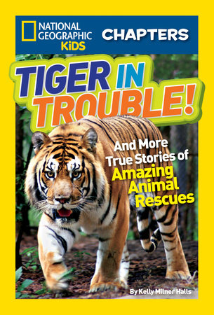 National Geographic Kids Chapters: Tiger in Trouble! by Kelly Milner Halls