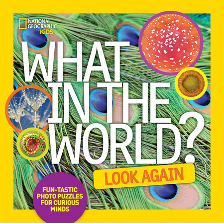 What in the World: Look Again by National Geographic Kids