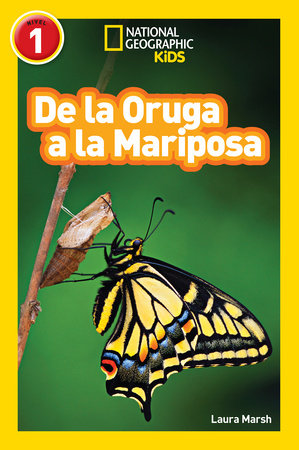 De la Oruga a la Mariposa (Caterpillar to Butterfly) (National Geographic Kids Readers, Nivel 1) by Laura Marsh