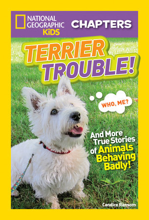 National Geographic Kids Chapters: Terrier Trouble! by Candice Ransom
