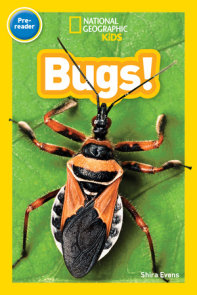 Bugs! (National Geographic Kids Readers, Pre-Reader)