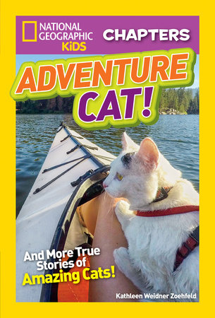 National Geographic Kids Chapters: Adventure Cat! by Kathleen Zoehfeld