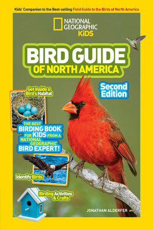 national geographic birds flying