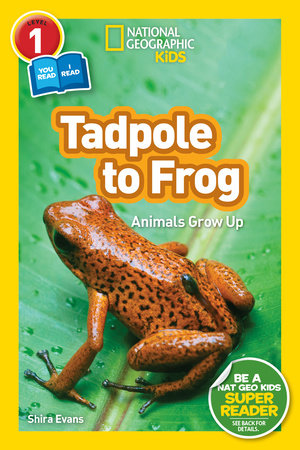 National Geographic Readers: Tadpole to Frog (L1/Coreader) by Shira Evans