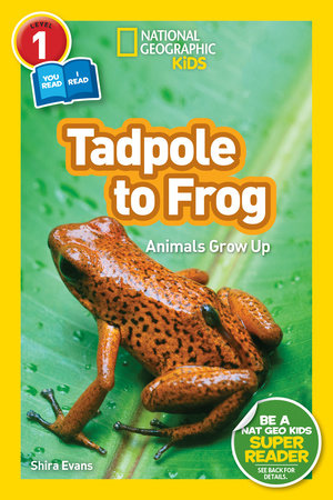 Tadpole to Frog (National Geographic Kids Readers, Level 1/Co-Reader) by Shira Evans and National Geographic Kids